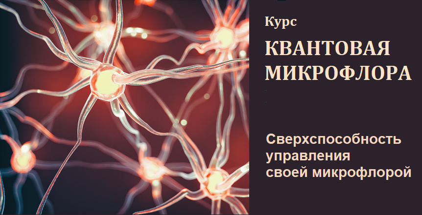 Описание