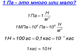 12 кг перевести