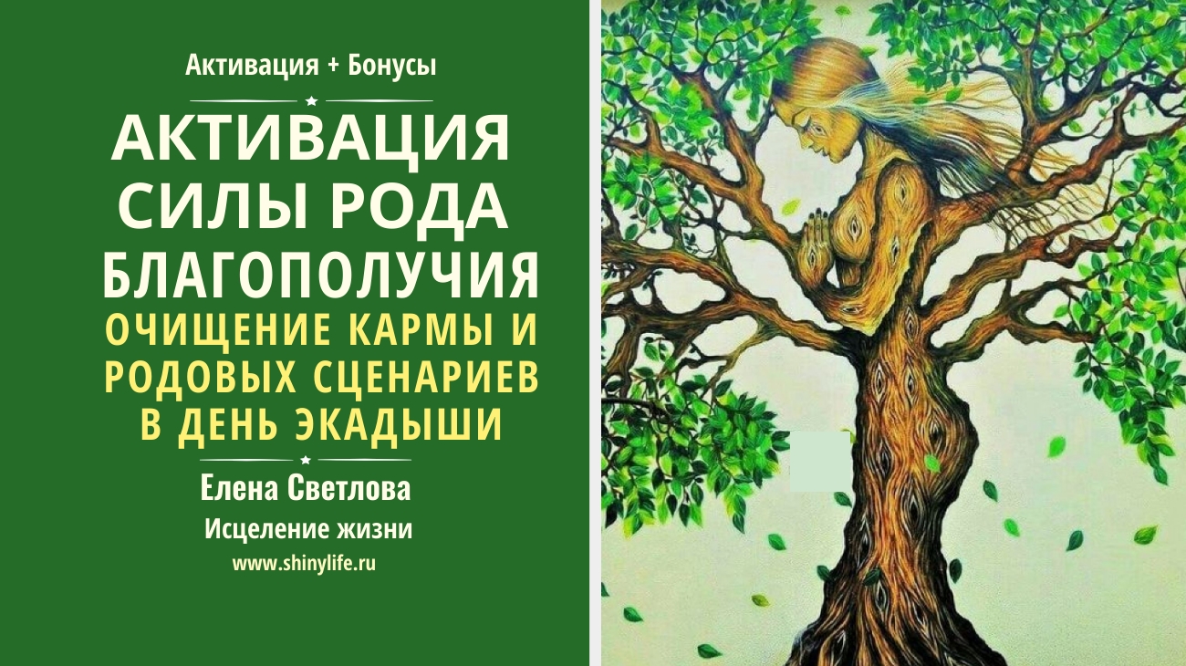 Описание